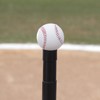Champion Sports Champion Sports Deluxe Batting Tee - Mounted Adjustable