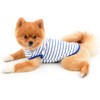 PAIDEFUL British Striped Dog Shirts for Small Medium Dogs Cats