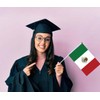 Pack of 25 Mexico Handheld Flag, Mexican Decor Hand Held
