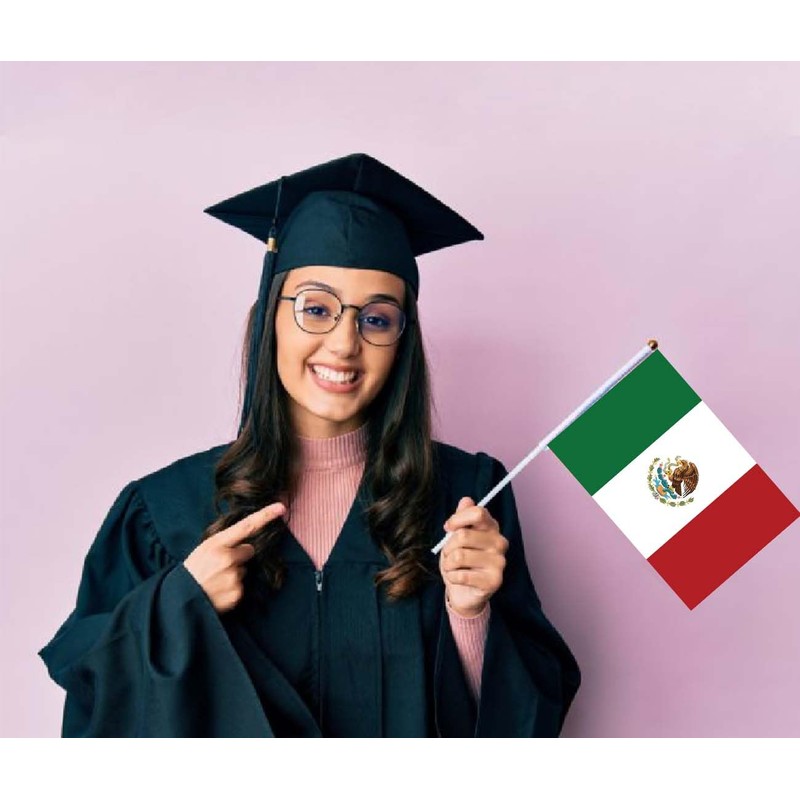 Pack of 25 Mexico Handheld Flag, Mexican Decor Hand Held