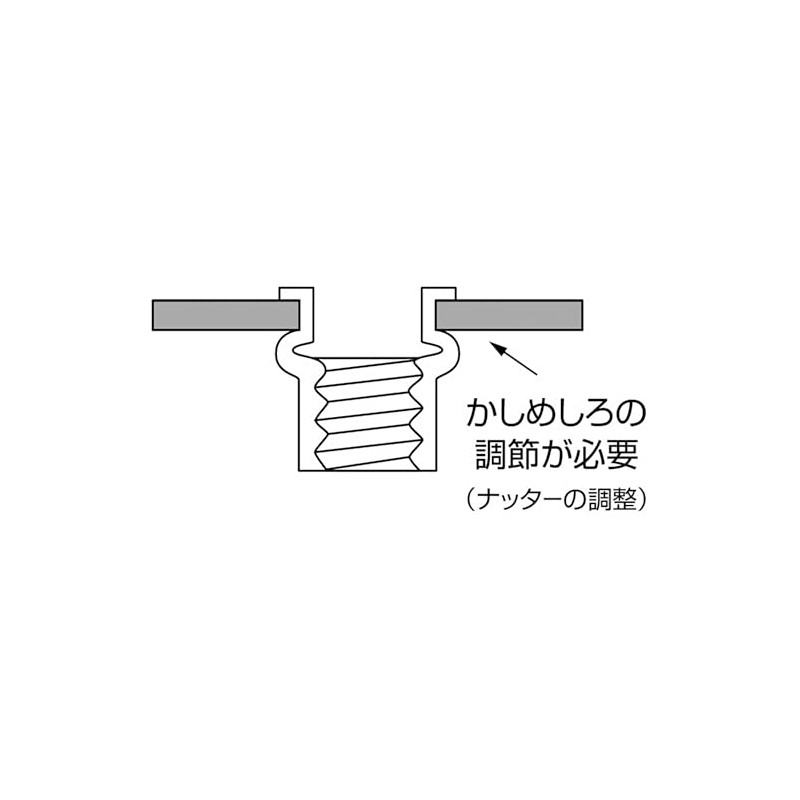 LOBTEX Blind Nut "Nut" (Flat Head, Steel) Eco Pack, Plate