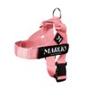 Marlio Adjustable Dog Harness - Stop Pulling, No Choke, Ensure