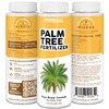 TPS NUTRIENTS Palm Tree Fertilizer for All Palms and Ferns,