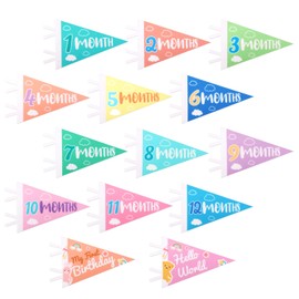 14pcs Baby Felt Pennant Milestone Signs, Multicolour Monthly Baby Milestone Banner Baby Age Milestone Triangle Flags for Boy & Girl Newborn Party Favors Decor Photo Props