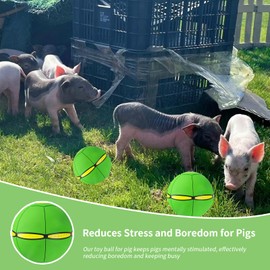 OOXYG Pig Toy - Toy for Pigs, Interactive Pig Flying Saucer Disc Ball Toys with 6 Lights for Mini Pigs, Enrichment Play for Pet Pigs Supplies Enjoyment and Fun-Green