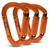 FVW 3 Pieces Heavy Duty Climbing Carabiners, 25KN UIAA Certified