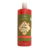 SHAMPOO FORTALECEDOR DE CACAHUANANCHE 1000 ML.