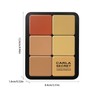 RoseFlower 12 Colors Makeup Palette, Foundation Contour Palette, Bronzing Eyeshadow,