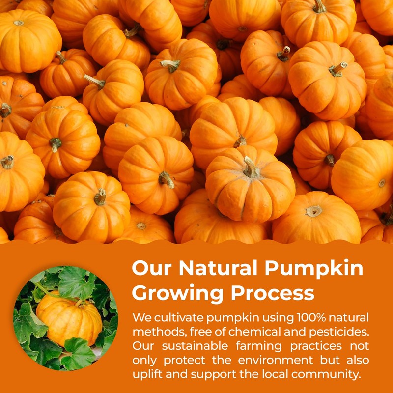 eHerbal Pure Freeze-Dried Pumpkin Powder, 2.43 oz – 100% Natural