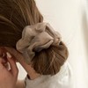 HAPVITAL Chiffon Scrunchie Set - Fashionable Adult Hair Rope Elastic