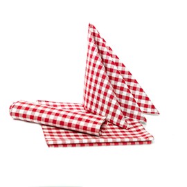 texpot TextilDepot24 Country House Tablecloth, Chequered, 100% Cotton, 30 x 30 cm, Red/White Chequered, Pack of 12