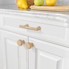 Amerdeco 10 Pack Champagne Gold Cabinet Pulls 3Inch(76MM) Hole Centers