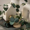 33 Ft Vine with Eucalyptus Leaf Lights Battery Operated, 8