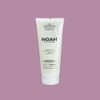Noah Natural Hair 5.1 Volumizing Anti-Humidity Texturizing Gel with Mint