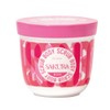 Joyco Body Scrub Sakura 7.1 oz (200 g)