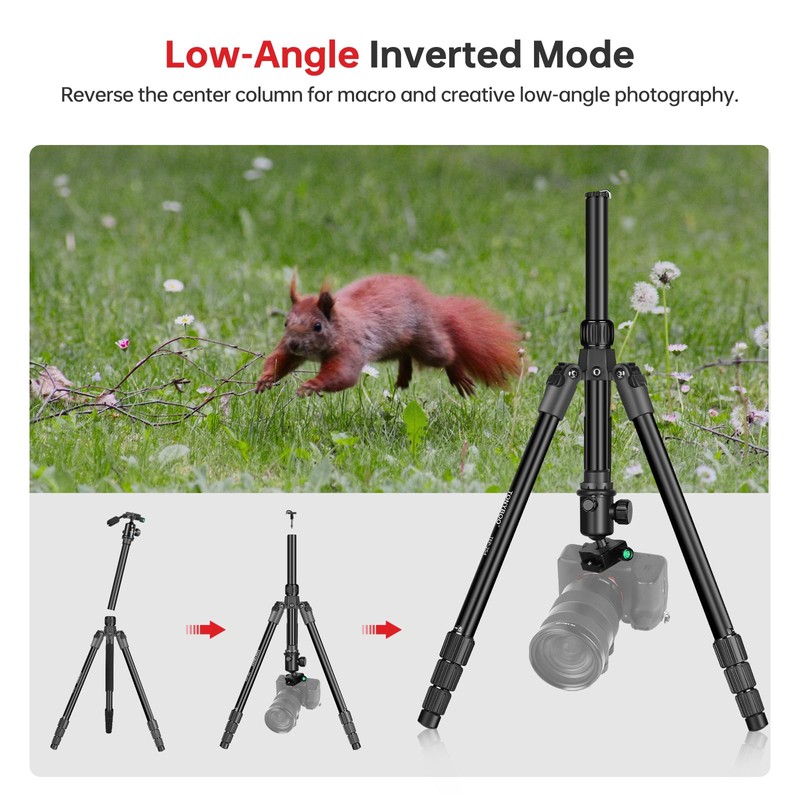 TONYBOO 61.5" Camera Tripod, Aluminum Tripod Monopod with Arca Swiss