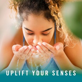 Febreze Febreze Odor-Fighting Fade Defy PLUG Air Freshener, Refresh and Energize, Soothe and Restore, Pack of 4 (2 of Each), .79 fl. oz. Oil Refill