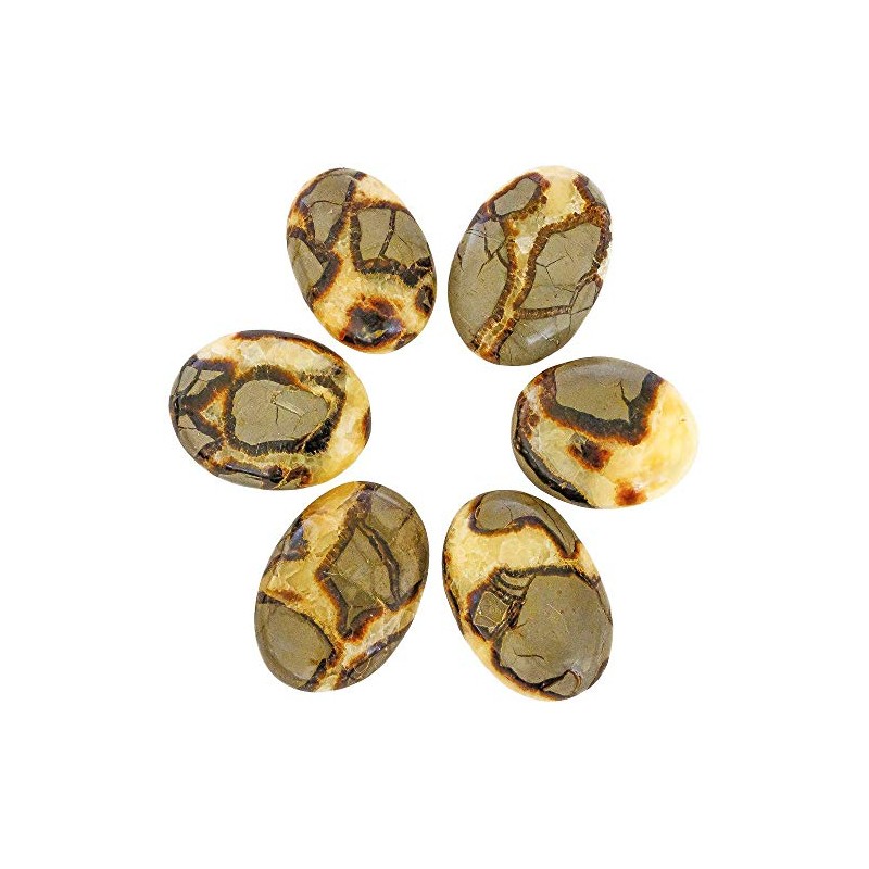 Septaria Stone 4 to 6 cm Natural Lithotherapy Collection Minerals