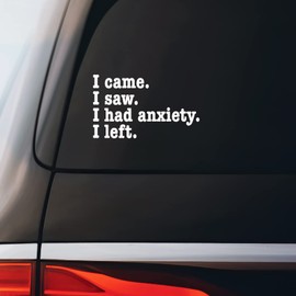 I Came I Saw I Had Anxiety Sticker Decal Notebook Car Laptop 5.5"x3.25" (White)