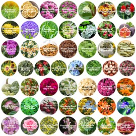 50 Bags Dried Flowers - Natural Dried Herbs Kit for Soap Making, DIY Candle, Resin Jewelry Making, Bath, Witch - Bulk Flowers Include Rose Petals, Lavender, Lemon, Jasmine, Rosemary, and More