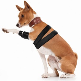Dog Knee Brace for Support Cruciate Ligament Injury, Joint Pain And Muscle Sore, Dog Leg Brace for ACL Support, Reduces Pain and Inflammation, Adjustable Pet Brace with 10 Side Stabilizers (L)