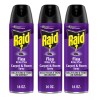 Raid 3 Cans Raid Flea Killer Plus Carpet & Room