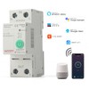 Zigbee Leitungsschutzschalter Schalter Smart Schalter mit Stromverbrauchsmessung und Überlastschutzfunktion, DIY