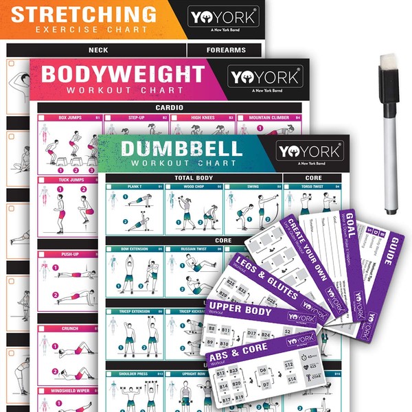 YoYork Exercise Posters for Stretching, Dumbell & Bodyweight Training - Home Gym & Fitness Workout w Minimal Equipment Needed - Get Full Body Workout at Home - 3 Laminated Posters Plus Workout Cards