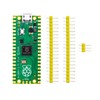 DIGISHUO DIGISHUO Raspberry Pi Pico and Pico W Microcontroller Board