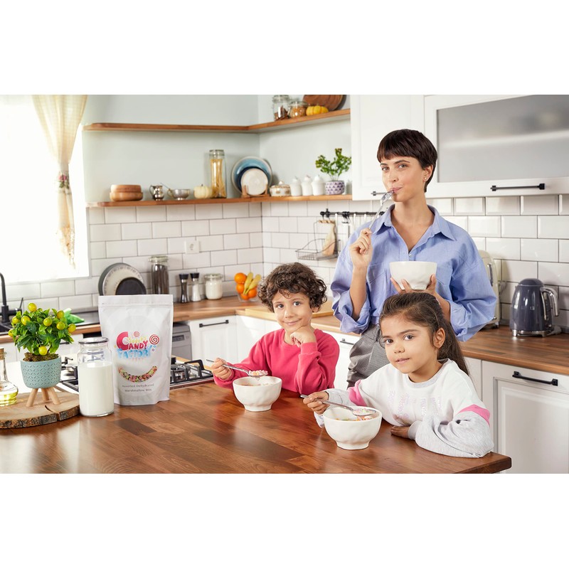 Sarahs Candy Factory Assorted Dehydrated Marshmallow Bits in Resealable Bag,