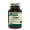 Standard Process - Choline - 90 Tablets
