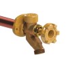 Woodford 17CP-8-MH Model 17 Wall Faucet, 8-Inch, CP Inlet, Metal
