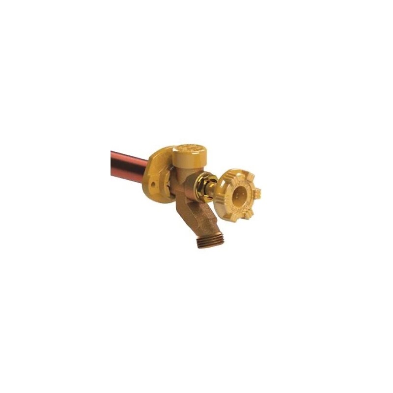 Woodford 17CP-8-MH Model 17 Wall Faucet, 8-Inch, CP Inlet, Metal