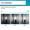 Hizashi Vintage LED Light Bulb Dimmable, 6W Equivalent 60W, 5000k