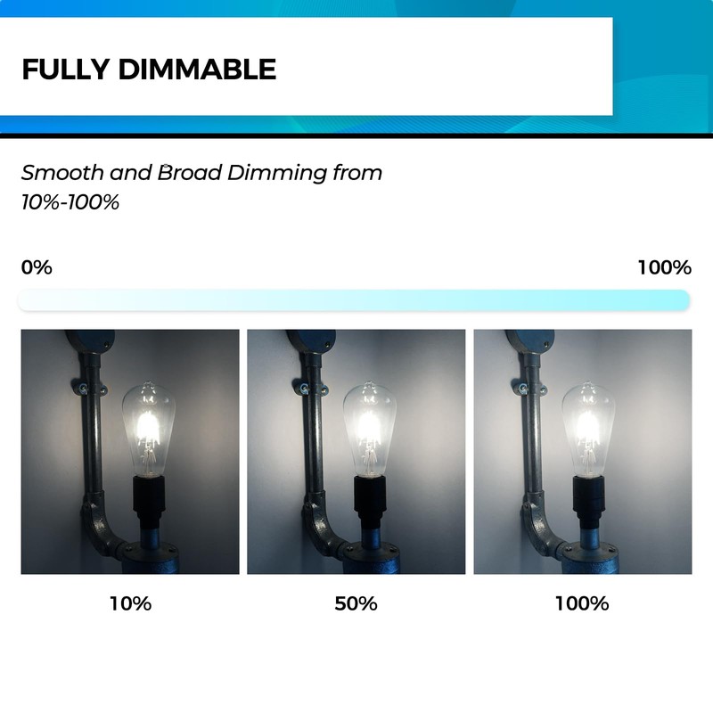 Hizashi Vintage LED Light Bulb Dimmable, 6W Equivalent 60W, 5000k