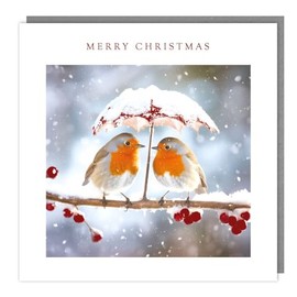 Tracks Publishing Charity Christmas Cards Pack of 5 - Charity Christmas Cards 2024 with Robins Under A Snowy Umbrella Design - Eco-Friendly Xmas Cards Multipack with Envelopes