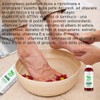 Dr. Taiga Forest Amulet Foot Emulsion, 100 g