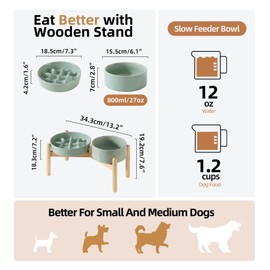 Havniva Ceramic 1.2 Cup Raised Slow Feeder Dog Bowl Set, Elevated 6.1inch Bowl and 7.3inch Slow Pet Food Dish with Wooden Stand for Small and Medium Dog (2 x Light Green+ Stand)