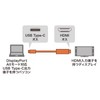 Sanwa Supply KC-ALCHD30K Type C-HDMI Converter Cable (Black, 9.8 ft