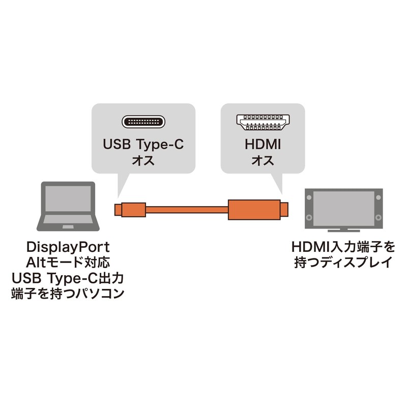 Sanwa Supply KC-ALCHD30K Type C-HDMI Converter Cable (Black, 9.8 ft
