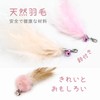 SONGWAY Cat Stick, Cat Toy, Balls, 3 Feathers, Cat Pujarashi,