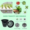 100 PCS Heavy Duty Net Pots for Hydroponics and Aquaponics