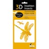Fridolin 3D Paper Model Dragonfly