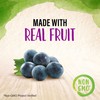 Smucker's Natural Concord Grape Squeezable Fruit Spread, 19 Ounces (Pack