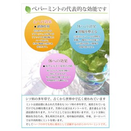 Peppermint Ameyoko Otsuya Spice Herb Mint Peppermint Mint Minto Menthol Ameyoko Otsuya Shoten (1.8 oz (50 g)