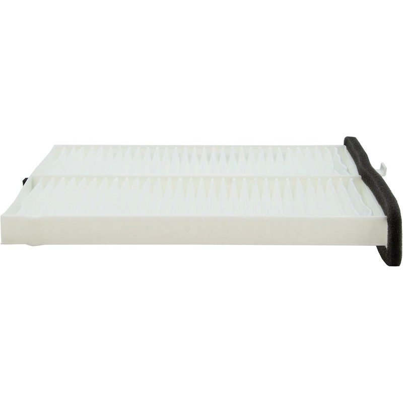 Ecogard XC10189 Filtro de aire de cabina premium para coche