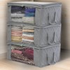 Sorbus Foldable Storage Bag Organizers, Large Clear Window & Carry