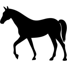 Horse Silhouette Vinyl Decal Sticker for Car/Window/Wall (Green Gloss)
