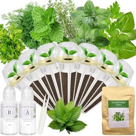 Gourmet Herb Seed Pod Kit for AeroGarden, idoo, Ahopegarden, MUFGA with Basil, Parsley, Thyme, Mint, Cilantro, Dill, Oregano - Compatible with All Hydroponics (7-Pod)