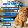 Just Try Eye Support with Taurine for Cats